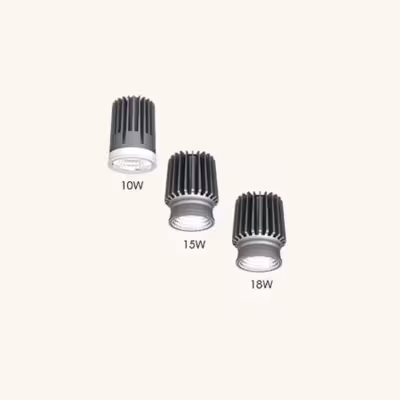 REPLACEABLE MODULE